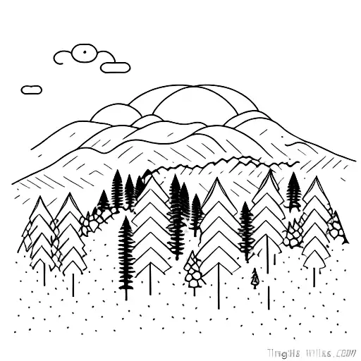 Forest Landscape With A Road In The Middle