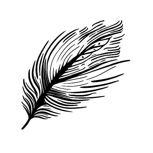 Single Wing That Has Feathers And Daisies