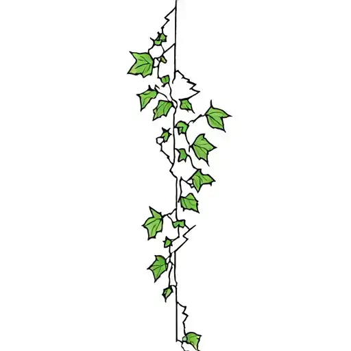 Ivy In A Broken Vase