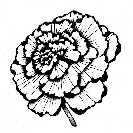 Carnation With Date