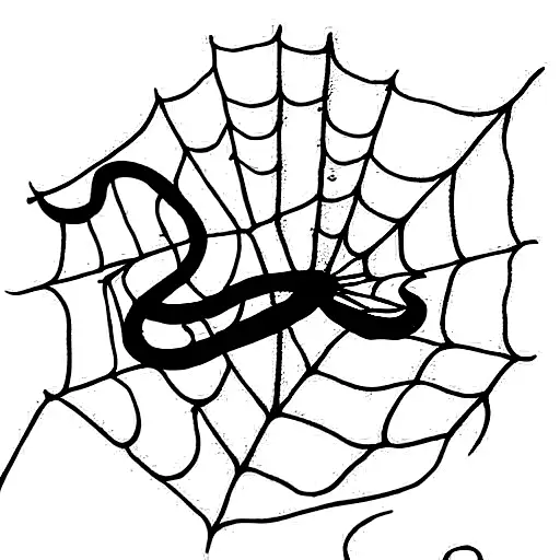 Snake Stuck In A Spider Web