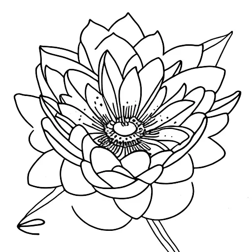 A Delicate Water Lily And Cosmos Flower Bouquet