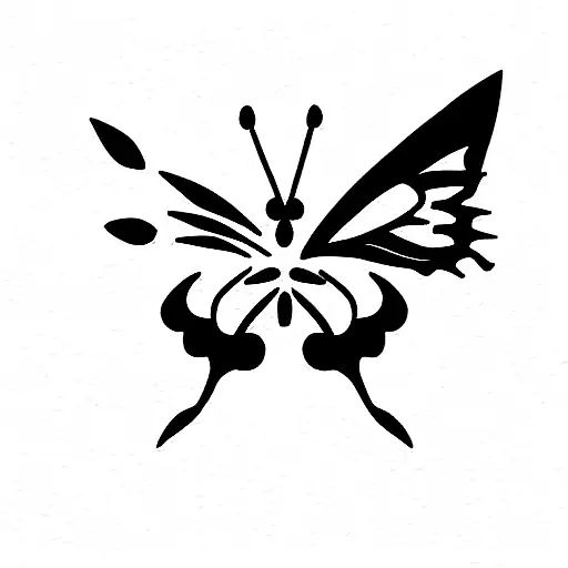 Phases Of The Moon And Butterfly