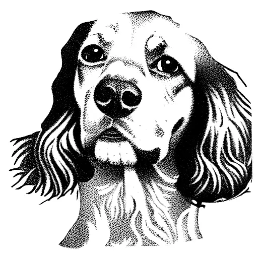 Spaniel Dog Looking Away