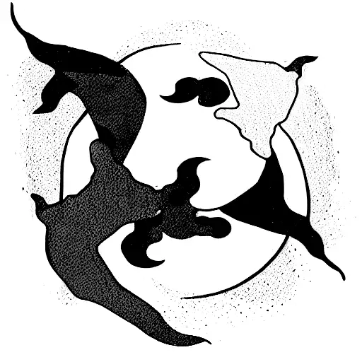 Yin Yang Dolphin And Dragon