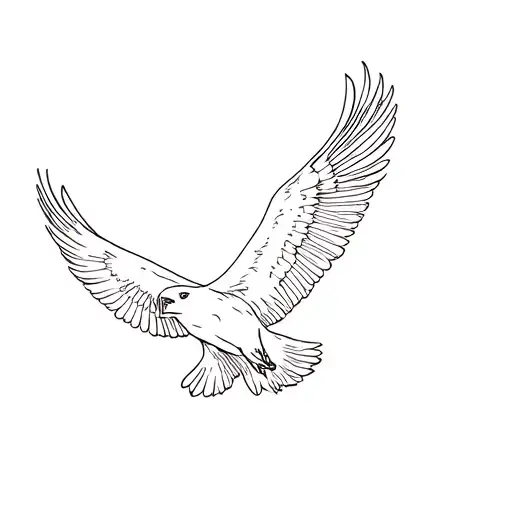 Eagle Soaring