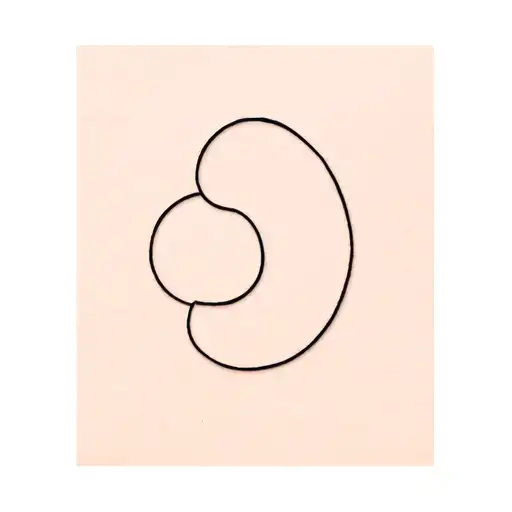 Semicolon Inside Of A Sloth