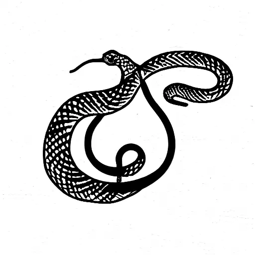 Snake And The Tail Wraps Around The Sentence Memento Mori