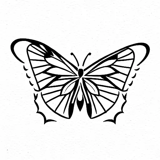 Butterfly And Rose And Poppy