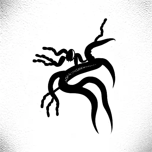 Snake On A Spider Web