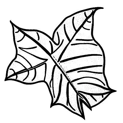 Varan Komodo And Leaf