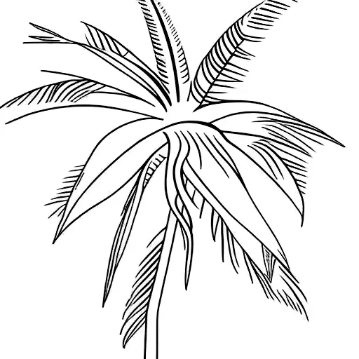 Ranch Dressing Bottle With Palm Tree