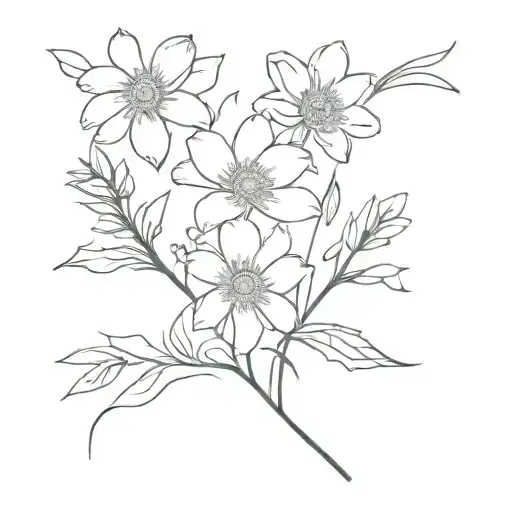 Daisy Flower And Lilly Flower And Holly Flowers