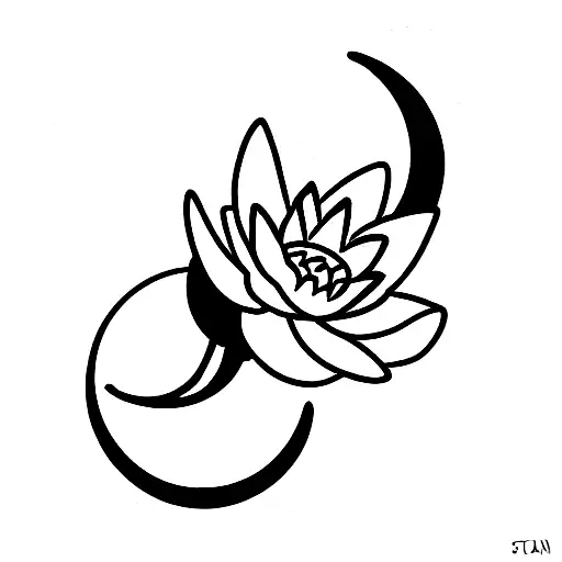 Water Lily With A Crescent Moon
