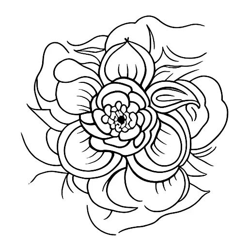 September Birth Flower And June Flower