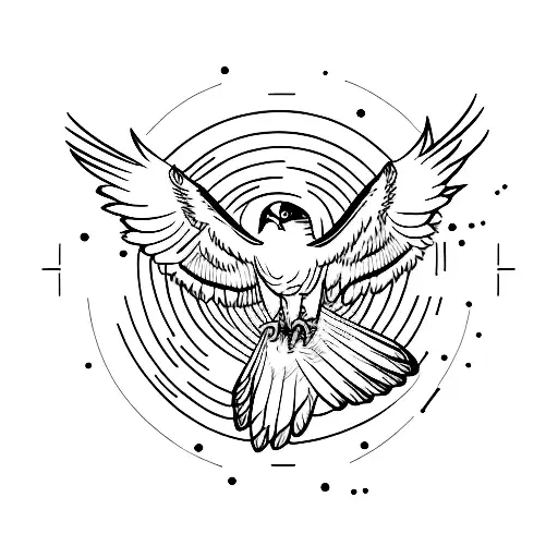 Soaring Red Tailed Hawk