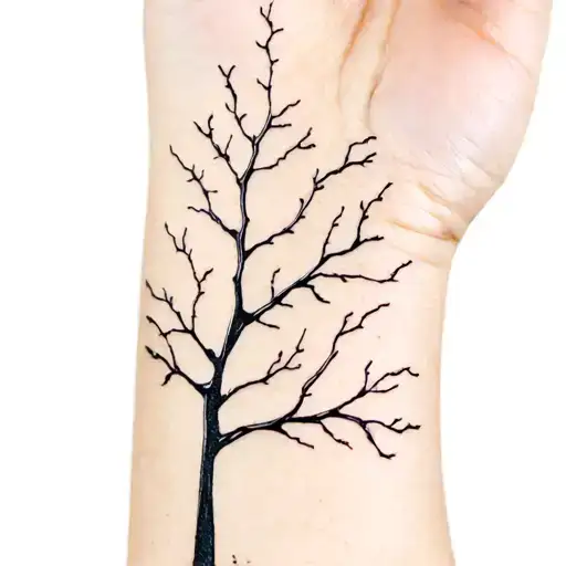 Tree Branches