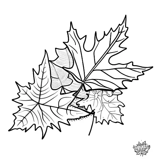 Maple Leaf And Tropical Leaf