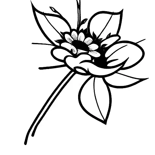 Flowers Birth Of October November December And May In A Bouquet