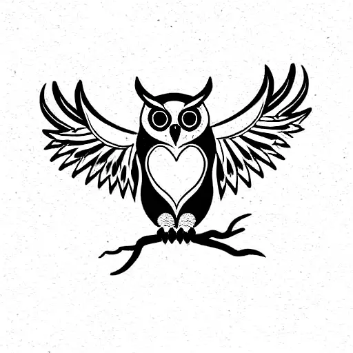 Owl Attacking With Claws