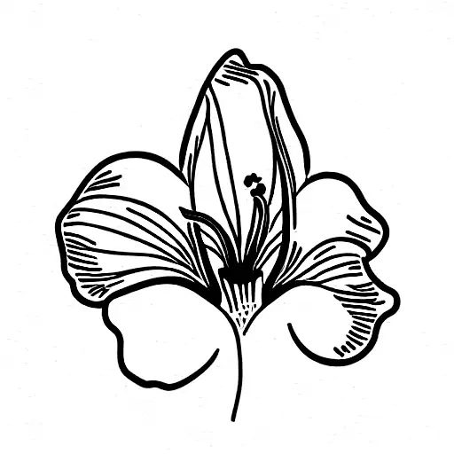 Abstract Iris Flower With Sun