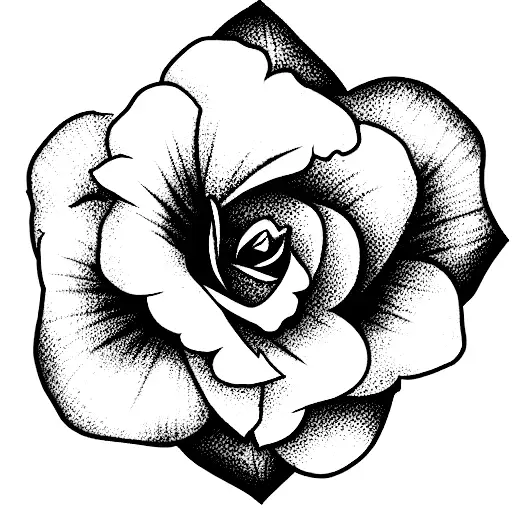 Rose And Daffodil And Cosmos Flower