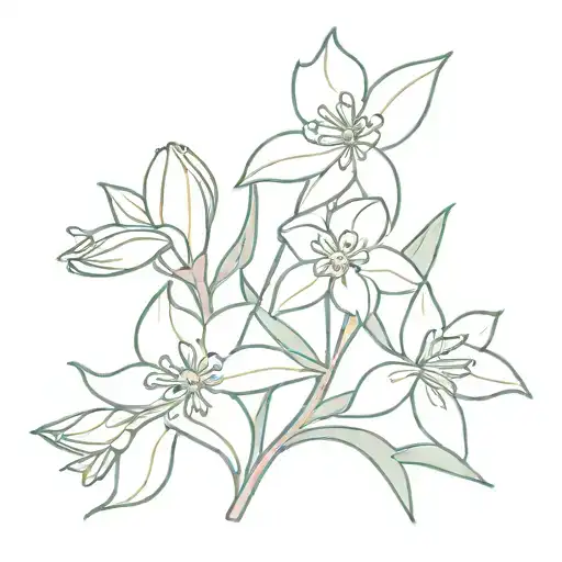 Daffodil Lily Of Valley Aster Flowers