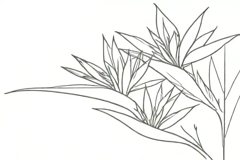 Bird Of Paradise Flower