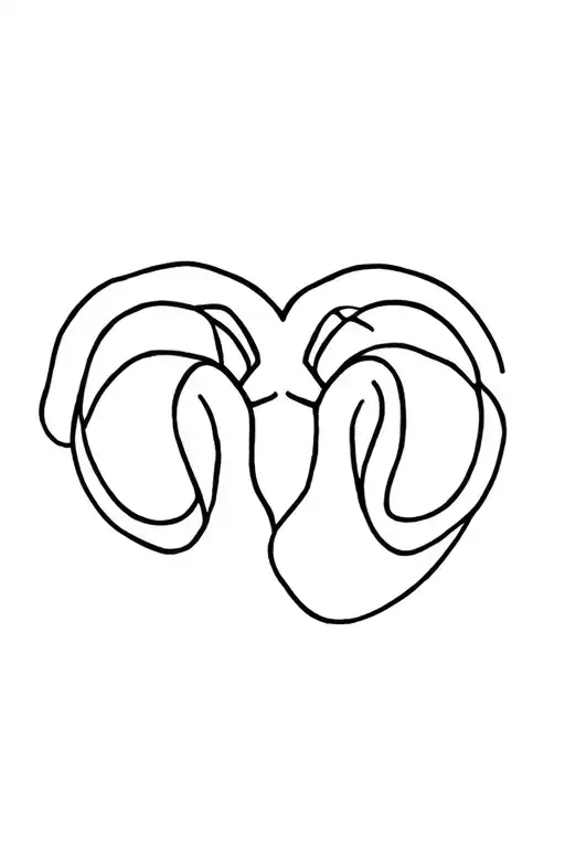 Aries Zodiac Sign