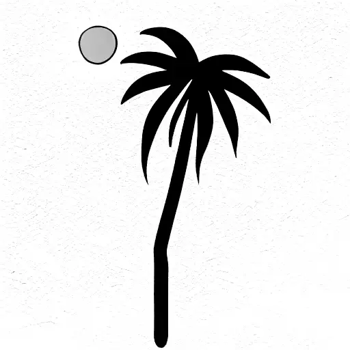 Palm Tree With The Sun