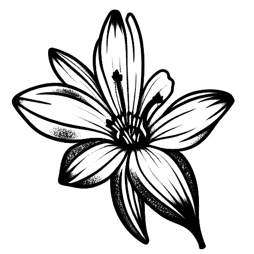 Daffodil Daisy Larkspur Aster