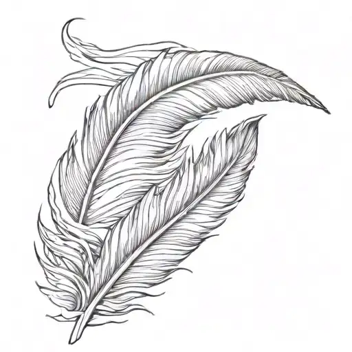 Canada Goose Feather