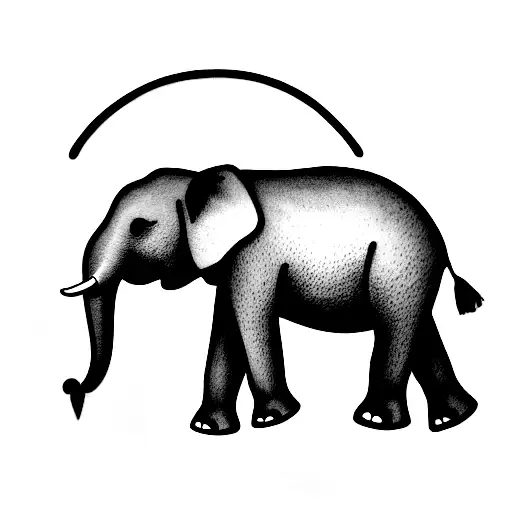Elephant With Travel And Scarlett Ibis