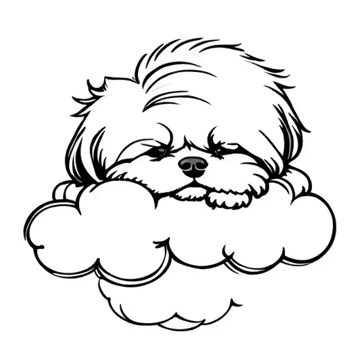 Shih Tzu Sleeping On Cloud