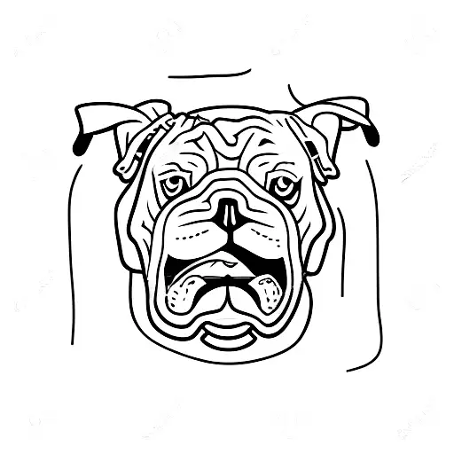 English Bulldog Outline Basic Sketch