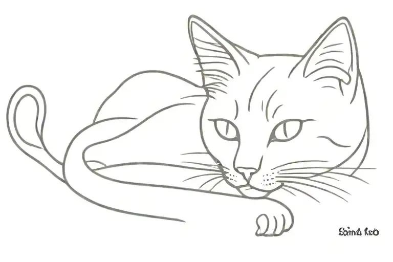 Sand Beach Cat With Folded Ears