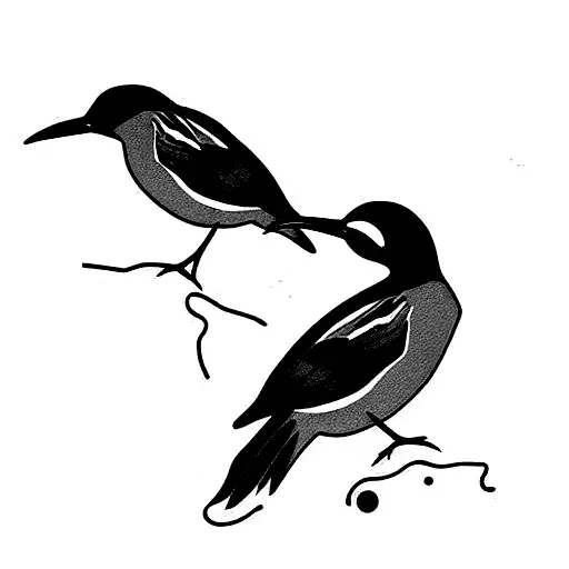 A Masked Water Tyrant Talking With A Grat Kiskadee