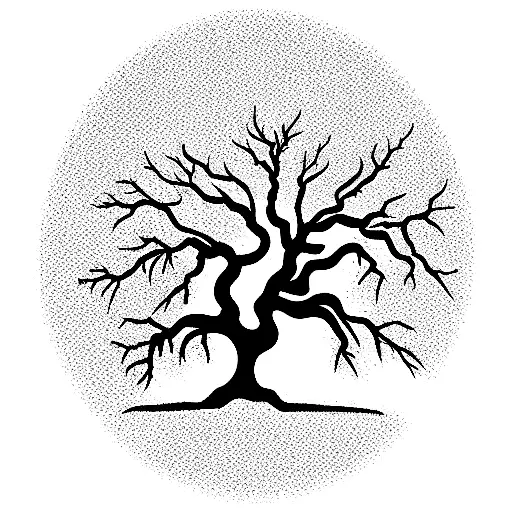 An Oak Tree On A Cracked Sandy Texture