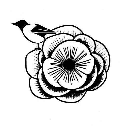 Portulaca Flower With Bird