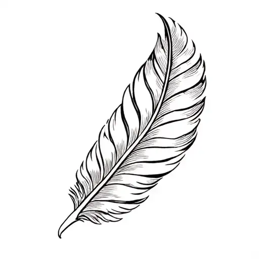 Eagles Feather With A Spilt On The Top Half