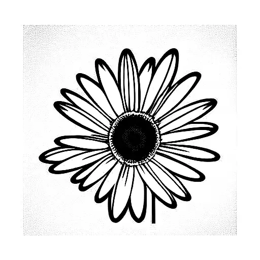 Daisy And Echanacea Bouquet