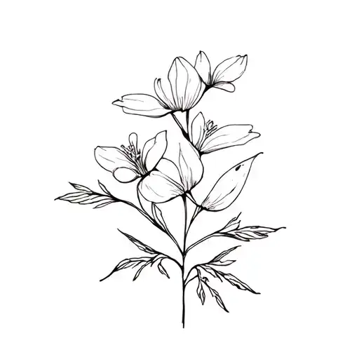 March And April Birth Flowers