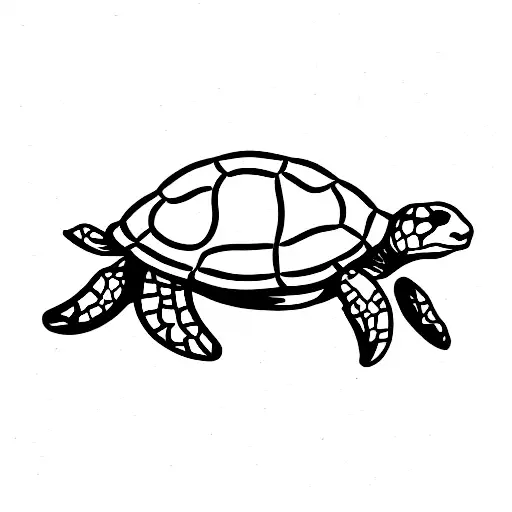 Turtle With Number Four