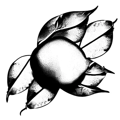 Mango Friends Fine Line Art Sri Lanka Terminology