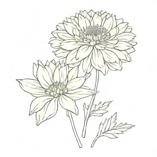 Chrysanthemum Daisy Carnation Flower Names Ashley Andrea And Alexis
