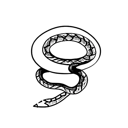 Snake Coiled Around Pencil