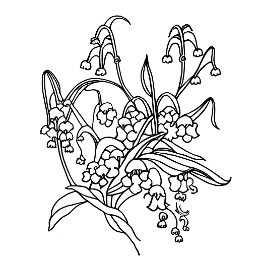 Lily Of The Valley For V Line