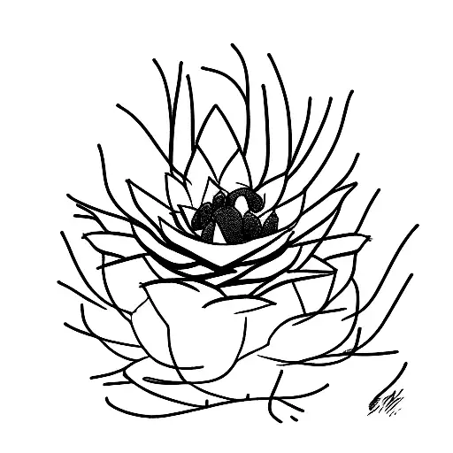 Cactus That Grows A Flower