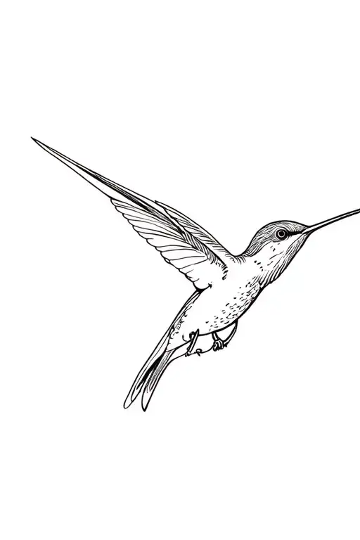 Flying Hummingbird Hovering