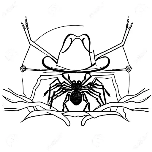 Spider With Cowboy Hat